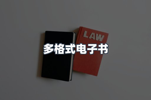 多格式电子书